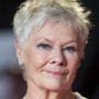 Toda la información sobre la actriz Judi Dench