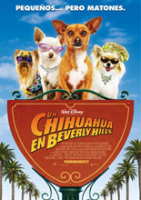 Un Chihuahua en Beverly Hills